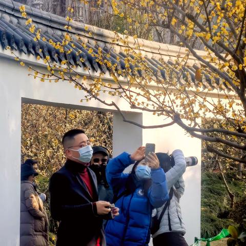 真如公园赏梅之旅：一场与梅花的邂逅