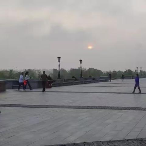 深化能力作风建设 | 道里区园林局在端午节凌晨有序推进完成沿江公园等管护区大清扫及关键区冲洗保洁工作