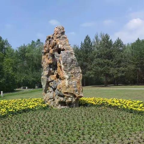 深化能力作风建设│道里区园林局聚焦“工作落实年” 聚力打造多彩精致城区园林环境