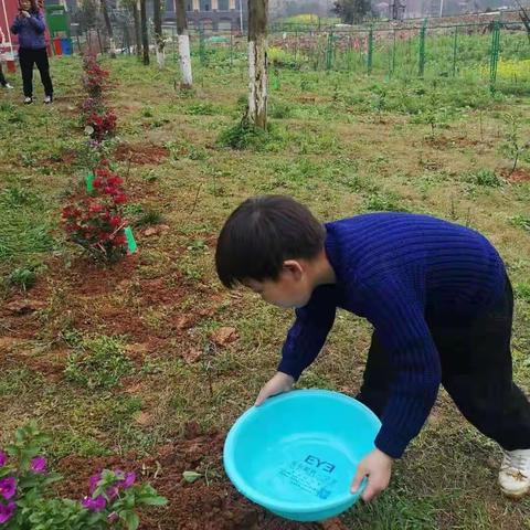 3月12日是植树节，1901班我们一起来植树。播下梦想的种子，收获成参天大树。