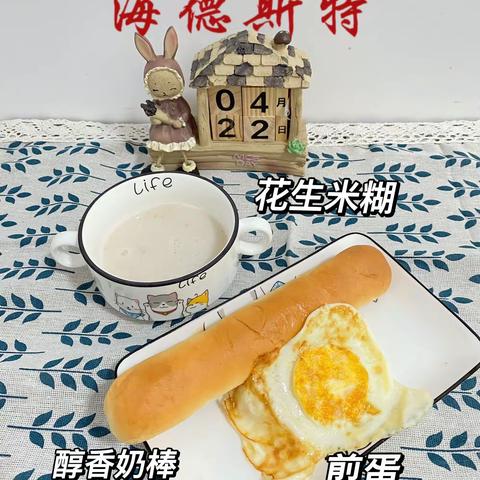 海德斯特幼儿园N班4月22日总结