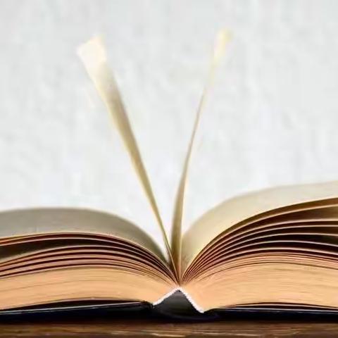 质量分析聚合力，勠力同心提质量