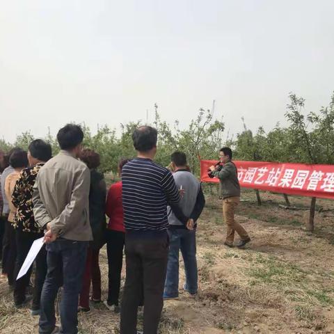 市农林局干部为店张受灾群众讲解指导灾后应急管理技术