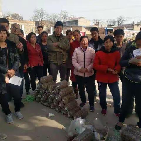 店张街道狠抓技能培训，助力产业脱贫