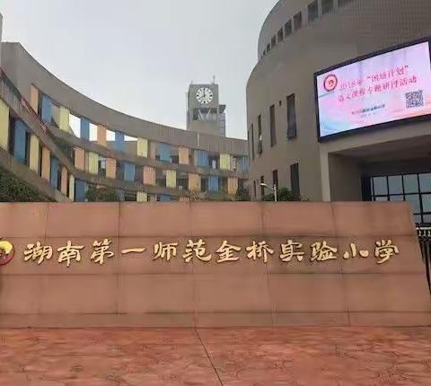 第一师范金桥实验小学求学记