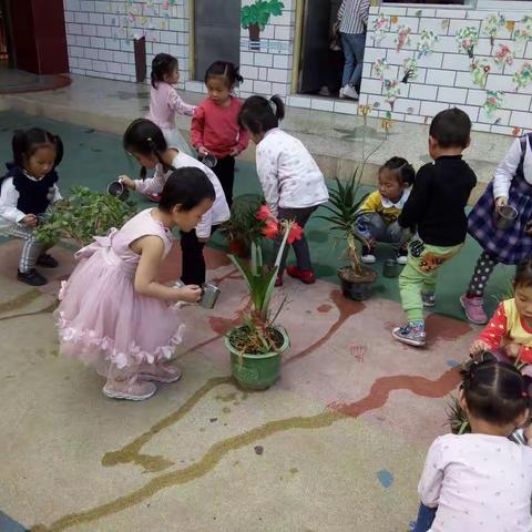 劳动最光荣！蒙蒙幼稚园小一班五一系列活动