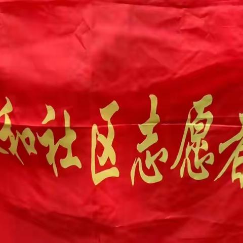 山河无恙，人间有情——与志愿者“疫”路同行