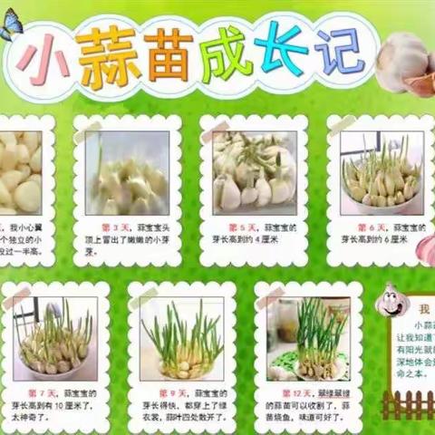 不负好时光作业展风采——乌鲁木齐市第八十小学教育集团四平路校区（乌鲁木齐市第三十七中学）综合组活动