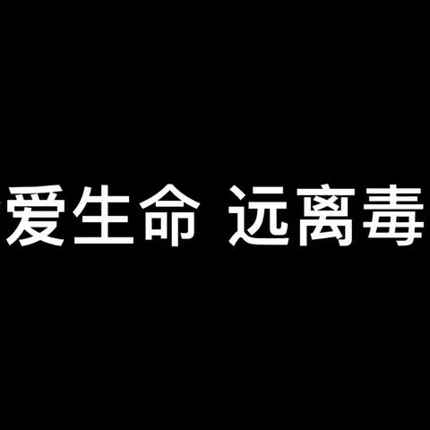 陇川县第二示范幼儿园线上禁毒宣传教育活动