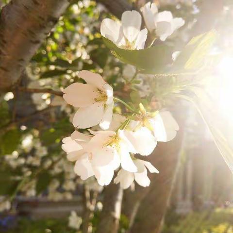 风雨欲来，我们不惧，抗击疫情，时刻在行动----阜平县八一希望中心小学二年级