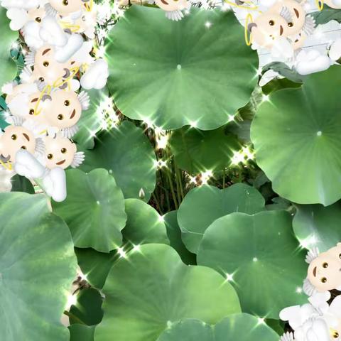 大一班第十七周活动简报