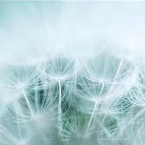 大一班第九周活动简报