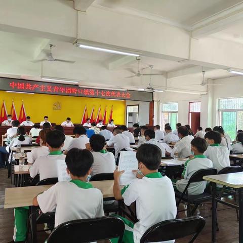 青春正当时 奋进新征程——岭口镇团委圆满完成换届选举