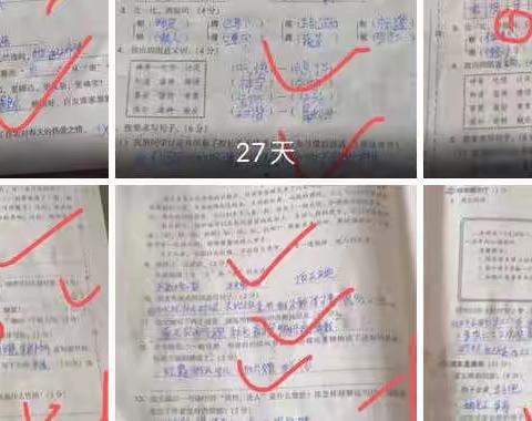 网课总结