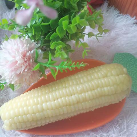开心宝贝幼儿园11.9日食谱