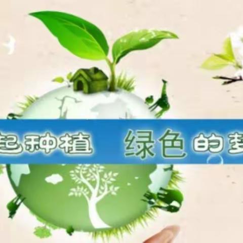 一起种植绿色的梦想