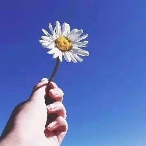 化马湾一中线上教学——最美教师篇