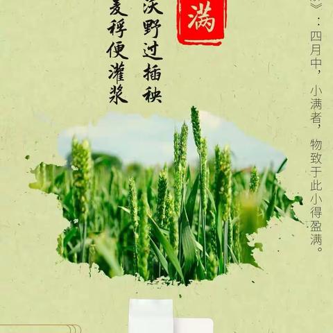 小满时节 养生要注意防“湿”