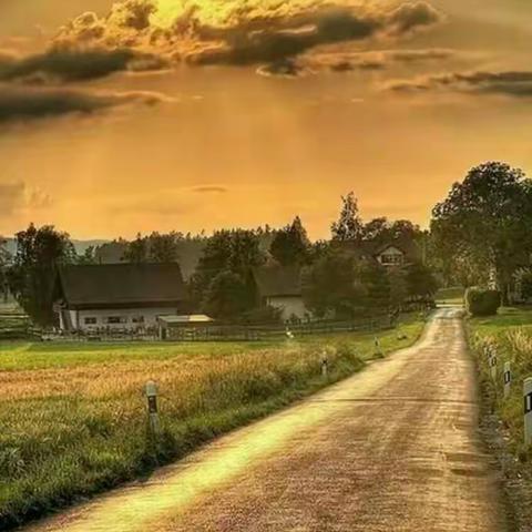 大树之恩（副本）