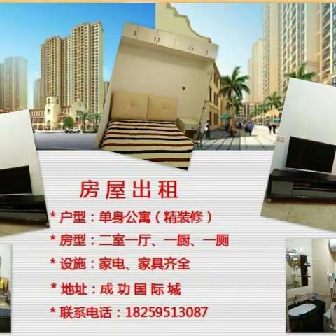 🌟身安、心方能安，安居方能乐业！🌟成功国际城单身公寓温馨舒适，等你入住哦！18259513087