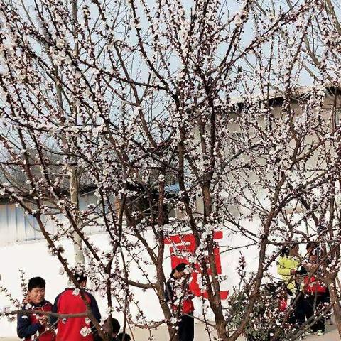 走进自然，体验生活