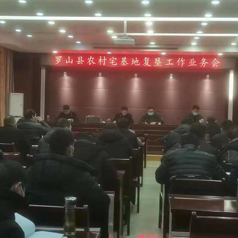 罗山县自然资源局大力实施土地复垦助力乡村振兴