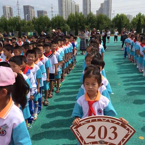 203！最美的遇见