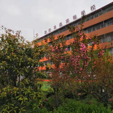 延期不延学――小一班的线上课堂开始了！
