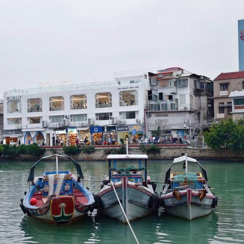 行走厦门（上）| 厦门、漳州游记（一）