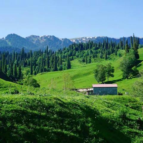 大美新疆（六）——那拉提草原、伊宁喀赞其民俗旅游区（D8）