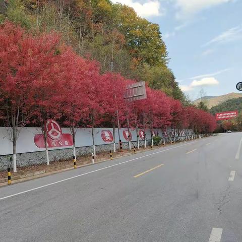 课堂教学展风采 听课评课促提升——教师学校听课评课走进第七中学