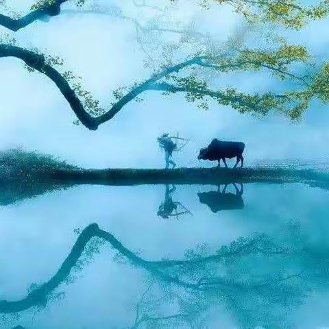 众志成城，共抗疫情—杭州湾支行裕农通村口服务点成为疫情防控宣传窗