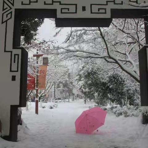 2018的雪长江边北固湾风景如画，城市山林的镇江北固山有“天下第一江山”的美誉，西津渡更是美不胜收。