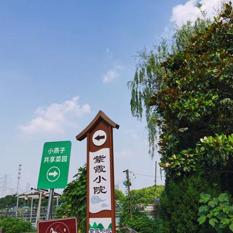 你好老同学