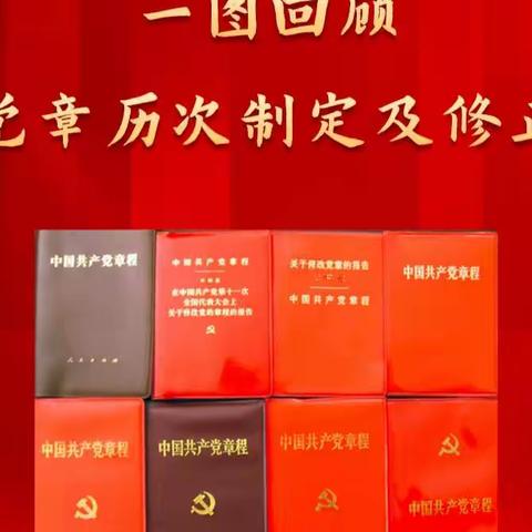 新民学校党支部学习《中国共产党章程（修正案）》