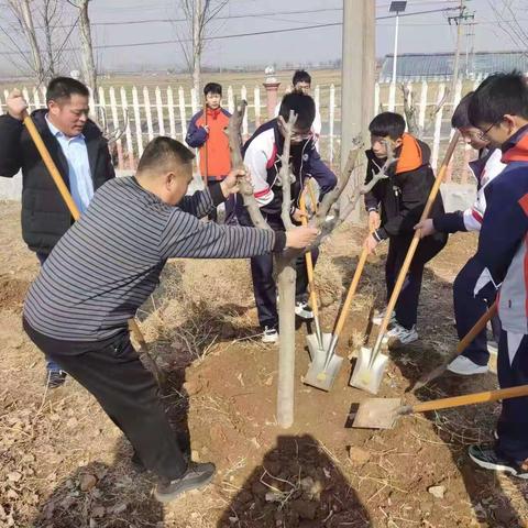 学校是我家，植树我参加——筵宾中学开展植树劳动实践课