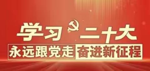 用心用情、有声有色贯彻党的二十大精神——油胡寨小学