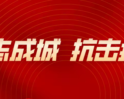 国网陇西县供电公司：逆行而上 战“疫”有我 保供有我