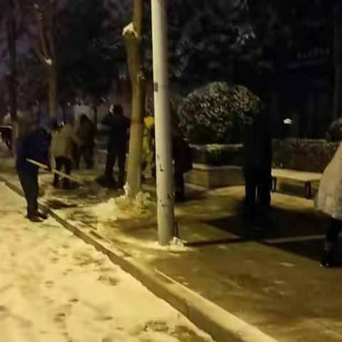 清雪大行动 深夜除雪人