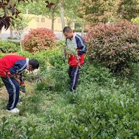 关爱学生幸福成长 ———时村营乡中学开展主题教育活动