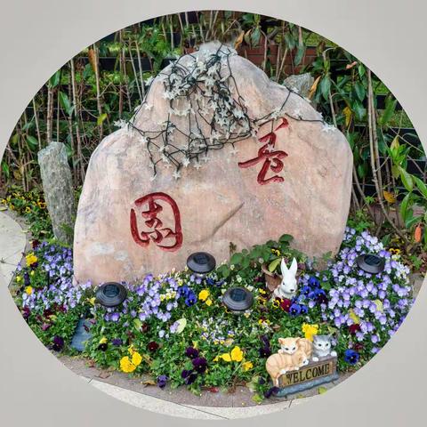 点赞云间水庄别墅                   张荣高拍摄
