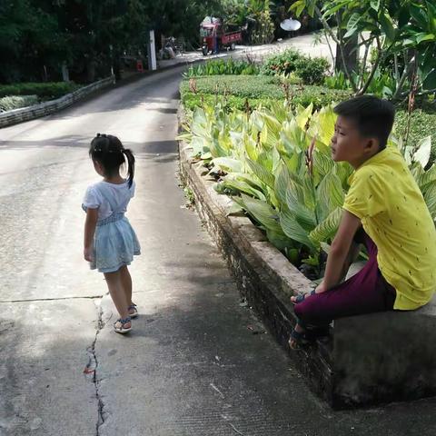 无限风光在险峰