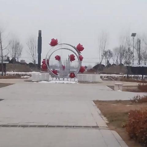 玫瑰园之旅
