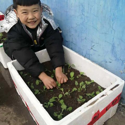 我劳动，我快乐