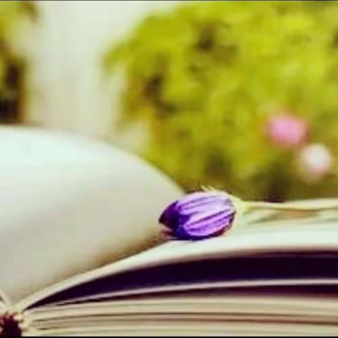 阅读伴我成长——城关镇中心小学第3周阅读交流