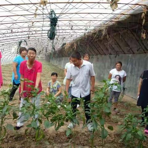 贾家营镇计生办组织育龄妇女参观大棚，学习种植技术