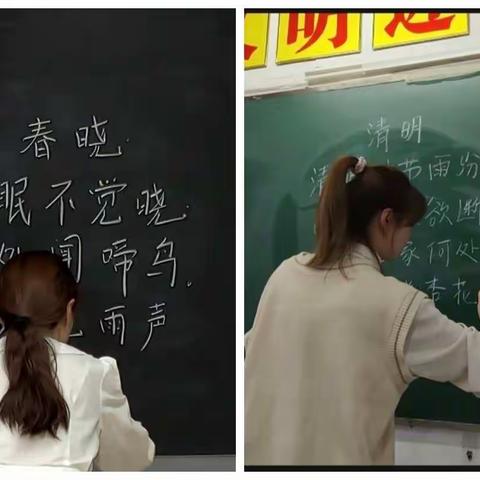 提升教师专业素养，展现教学魅力