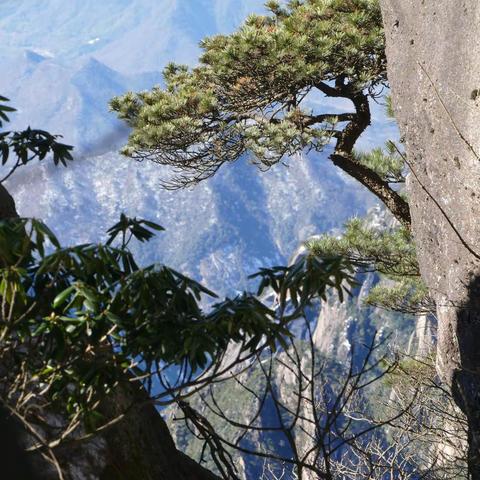 2021元旦踏雪黄山（下篇）