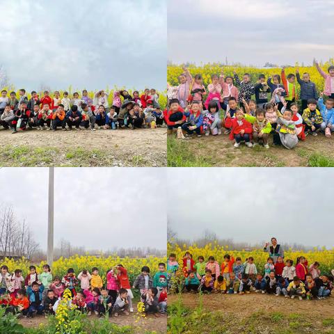 我和油菜花有个约会——三星咀幼儿园春游记