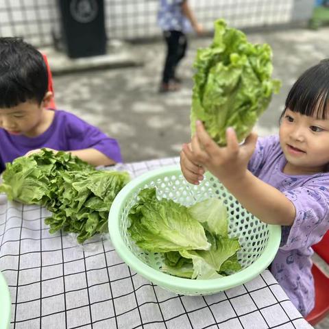 屏幼-五育并举之自己动手-制作美味